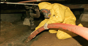 mold removal in a basement