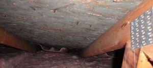 Water Damage In The Home's Crawlspace