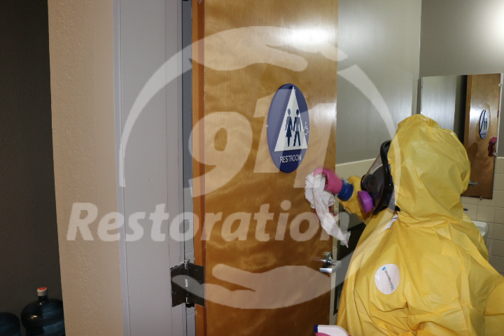 911-restoration-glendale-mold-remediation